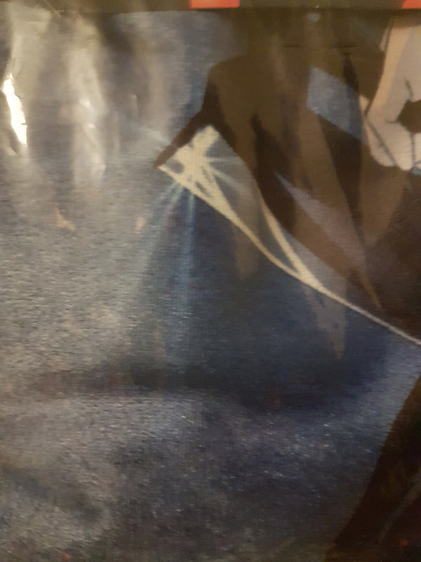 RWBY Ice Queendom Fleece Throw Blanket