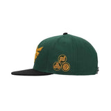 Legend of Zelda Hyrule Crest Flat Bill Snapback Hat - Shadow Anime