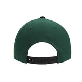 Legend of Zelda Hyrule Crest Flat Bill Snapback Hat - Shadow Anime