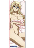 Freezing Satellizer Body Pillow