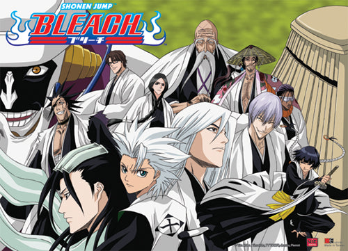 Bleach Captains Group Wall Scroll
