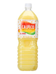 Calpico Mango Flavor Non-Carbonated Soft Drink Soda 50.7 oz