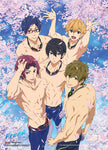 Free! Group In Pool With Sakura Wall Scroll