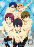 Free! Iwatobi Swim Club Group Poolside Wall Scroll