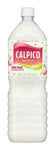 Calpico White Peach Flavor hiilihapoton virvoitusjuoma 50.7oz