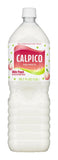 Calpico White Peach Flavor Non-Carbonated Soft Drink Soda 50.7oz