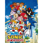 Sonic The Hedgehog Big Group Throw Blanket
