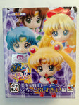 Sailor Moon Punishment and Petit Chara Figures (1 Random Blind Box) Shadow Anime